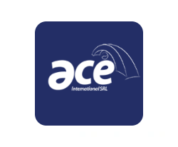 ACE international summer work and travel rep. dom. logo